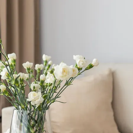 Glow - Amazonia Jagiellonska * Гданьск