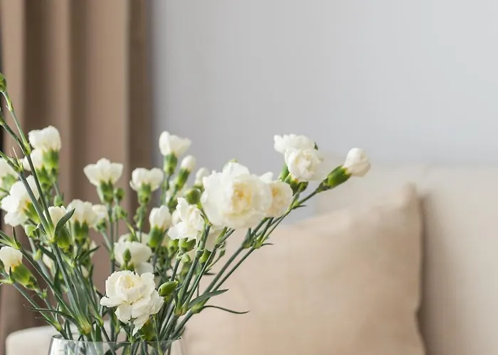 Glow - Amazonia Jagiellonska * Gdansk